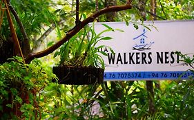 Ella Walkers Nest